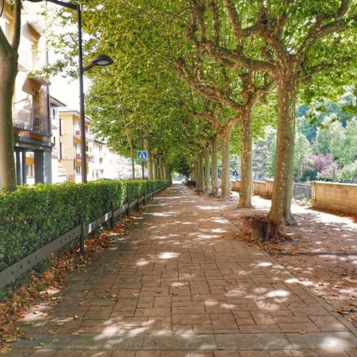 Calle tranquila de Ribes de Freser